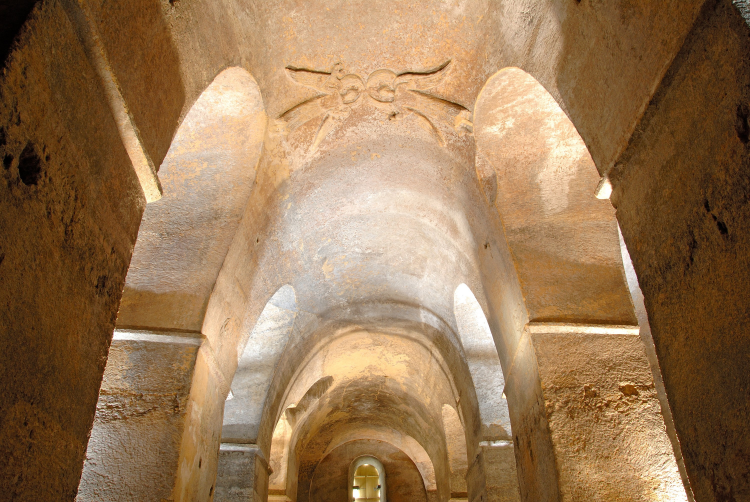 Ophorus Tours - A Private Day in Saint-Emilion: Explore Wines & Charm