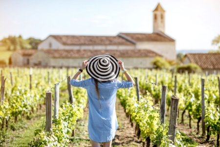 Ophorus Tours - A Private Day in Saint-Emilion: Explore Wines & Charm