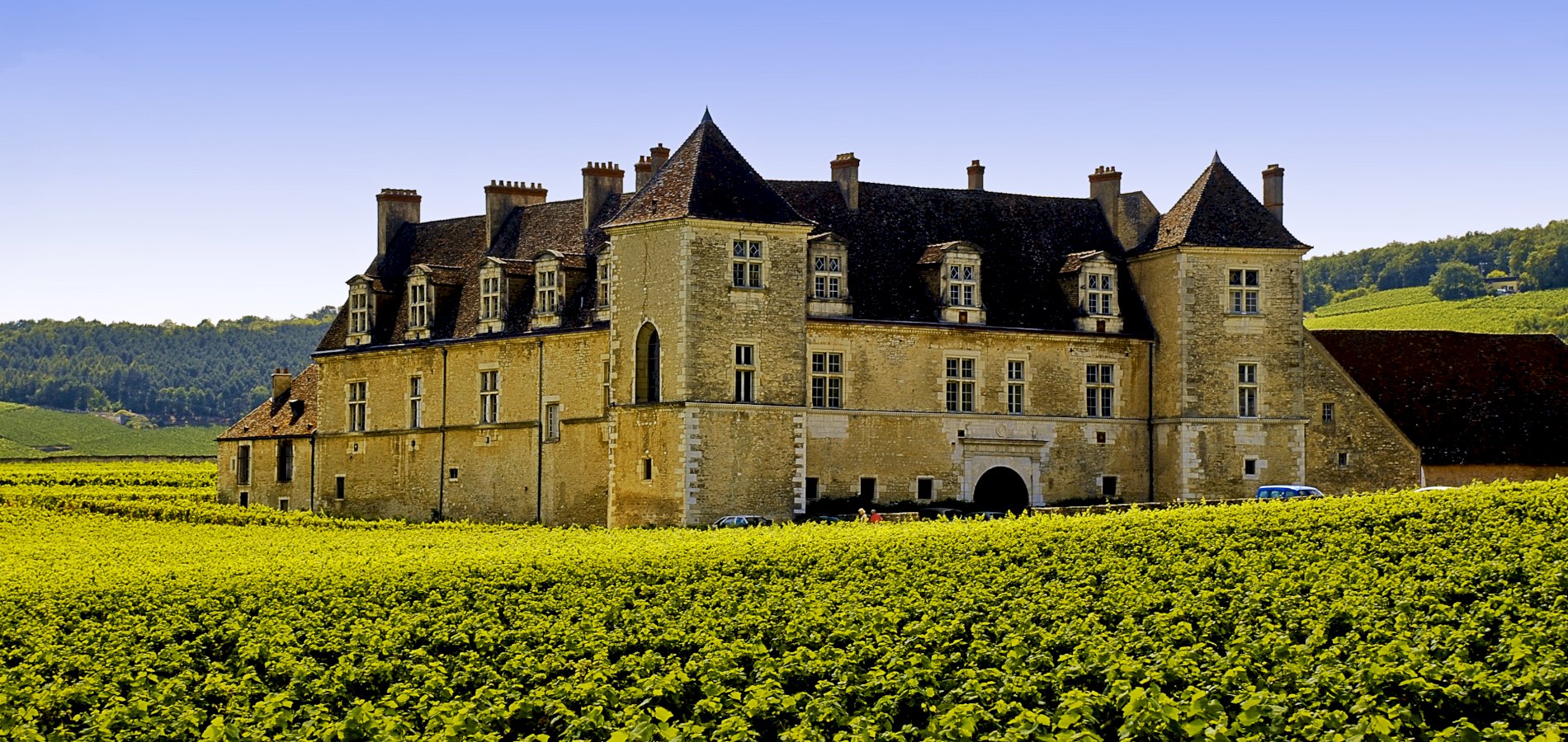 Ophorus Tours - Day tour in Burgundy with 12 wine tastings at local wineries