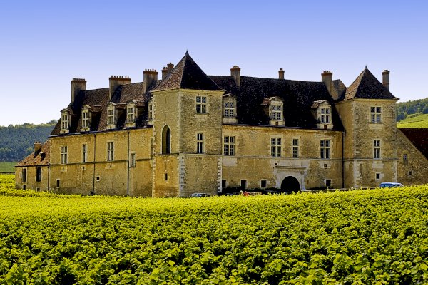 Ophorus Tours - Day tour in Burgundy with 12 wine tastings at local wineries