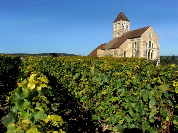 Ophorus Tours - Champagne Day Tour with Tastings: two family wineries & lunch