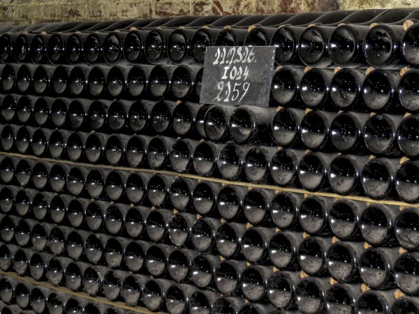 Ophorus Tours - Champagne Day Tour with Tastings: two family wineries & lunch