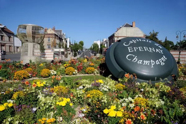 Champagne Day Tour with Tastings: three family wineries & lunch