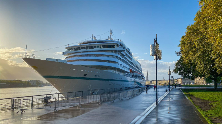 Ophorus Tours - Bordeaux Private Guided Walking Tour from Cruise Port