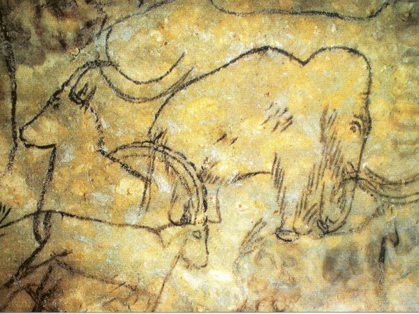 Ophorus Tours - From Trémolat to Prehistory Museum, Lascaux IV & Rouffignac Cave tour private