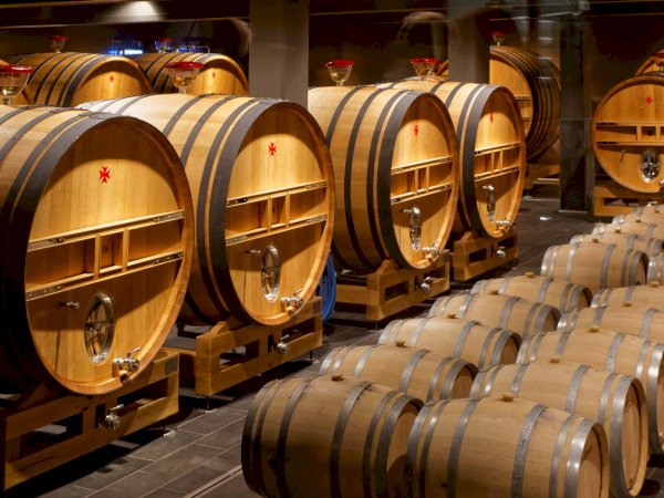 Ophorus Tours - Epernay Bubbles: Private Champagne Houses & Tastings