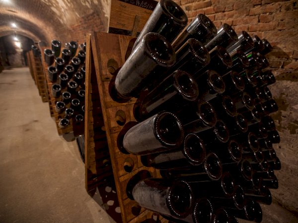 Ophorus Tours - Art & Bubbles: Private Reims & Champagne Tour from Epernay