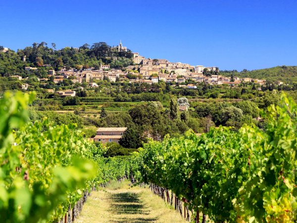 Ophorus Tours - Provence Wine Tour: Exclusive Shore Excursion from Antibes