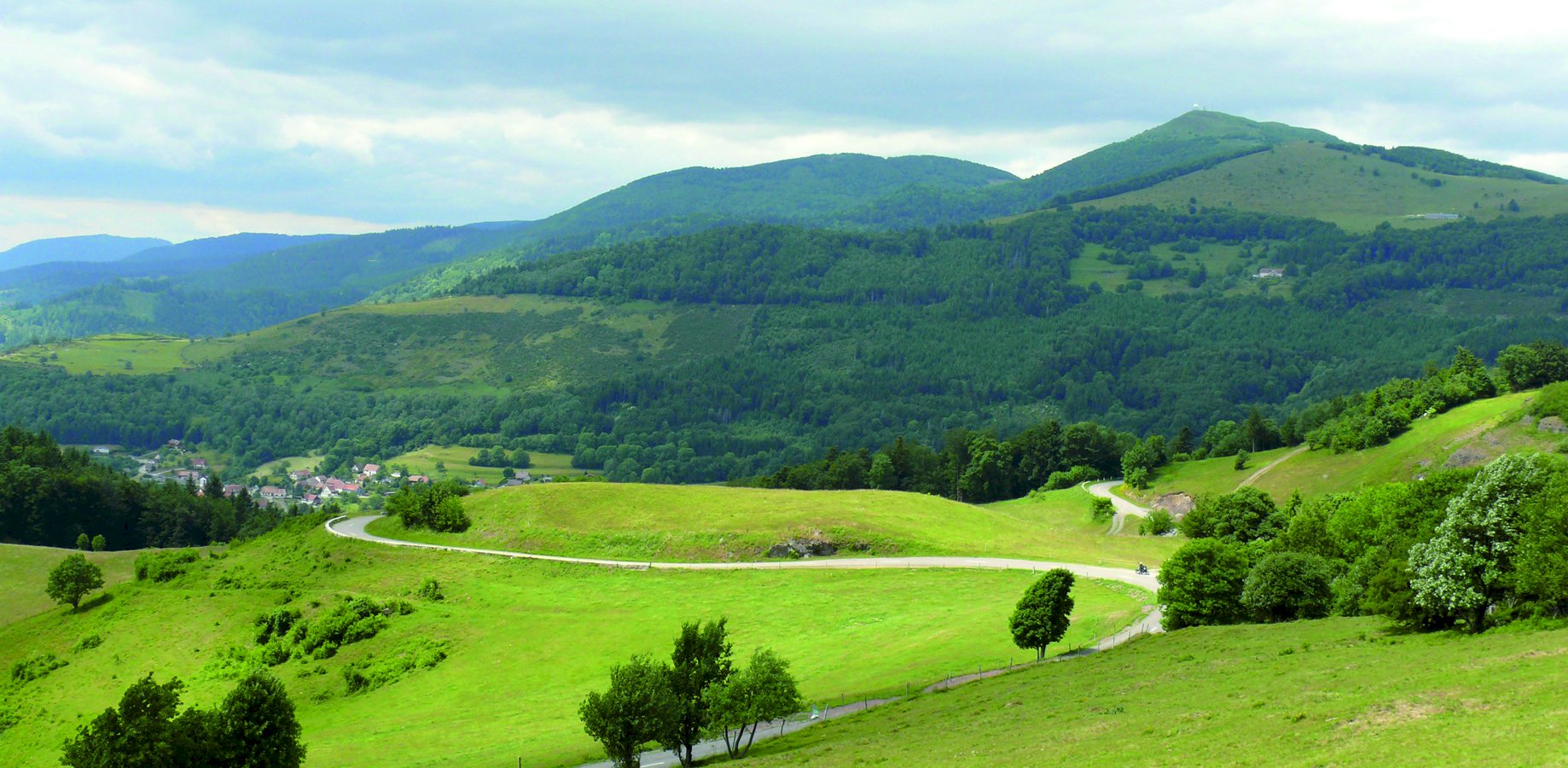 Ophorus Tours - Alsace WWII Legacy: Private Tour from Strasbourg