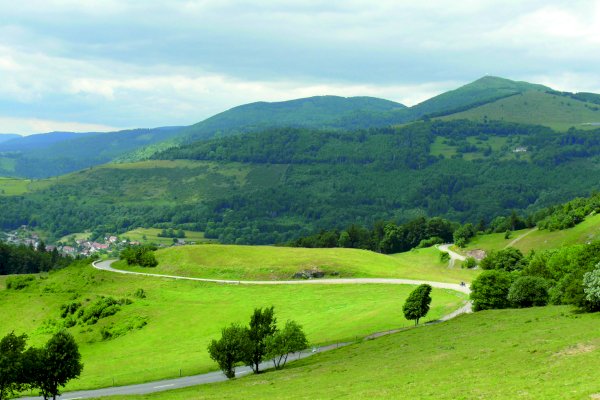 Ophorus Tours - Alsace WWII Legacy: Private Tour from Strasbourg