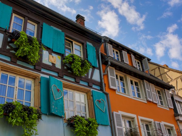 Ophorus Tours - Riquewihr Private Tour: Colmar, Eguisheim, and Haut Koenigsbourg