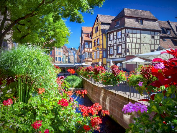 Ophorus Tours - Riquewihr Private Tour: Colmar, Eguisheim, and Haut Koenigsbourg