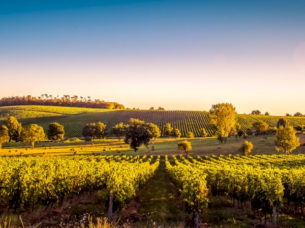Ophorus Tours - From Mulhouse to visit Alsace Breweries & Taste local Delicacies tour private