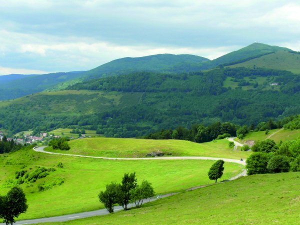 Ophorus Tours - From Mulhouse to visit Alsace Breweries & Taste local Delicacies tour private