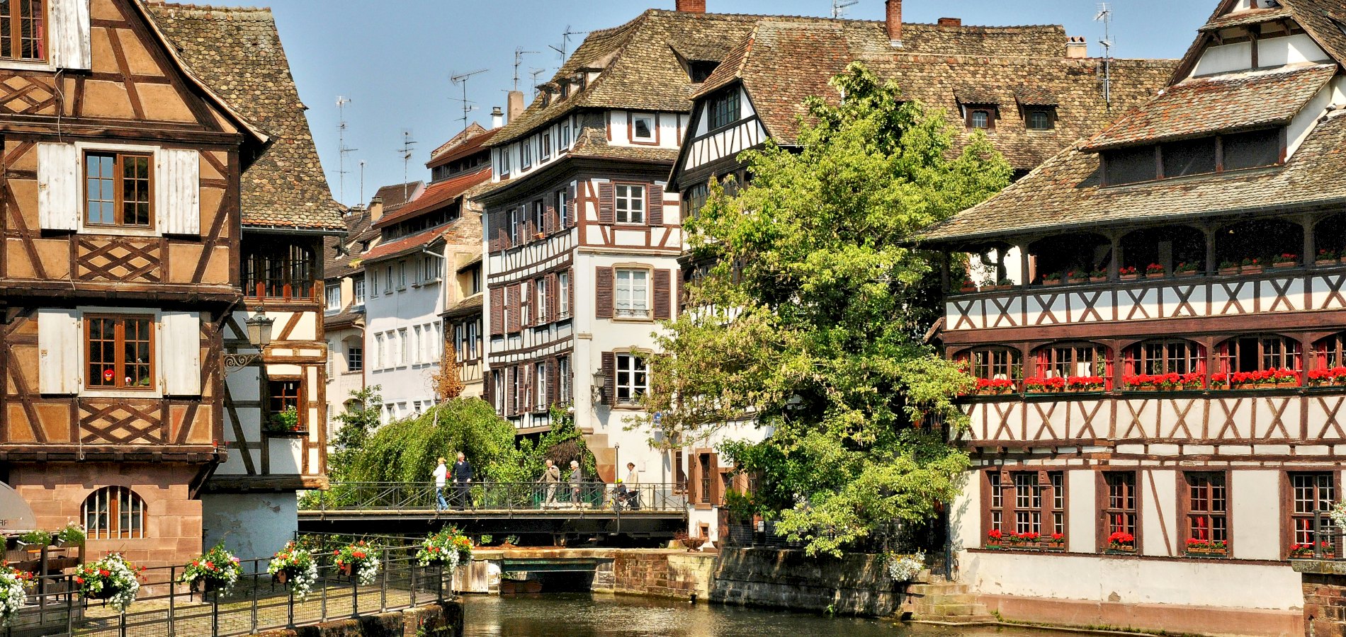 Ophorus Tours - Strasbourg Half-Day Trip: Private Tour from Riquewihr