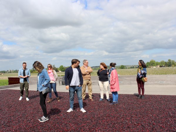 Ophorus Tours - Bordeaux Wine Tour to Saint Emilion From Toulouse