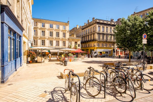 Ophorus Tours - Panoramic Bordeaux, Picnic & Saint-Emilion Wines: The Complete Shore Trip 