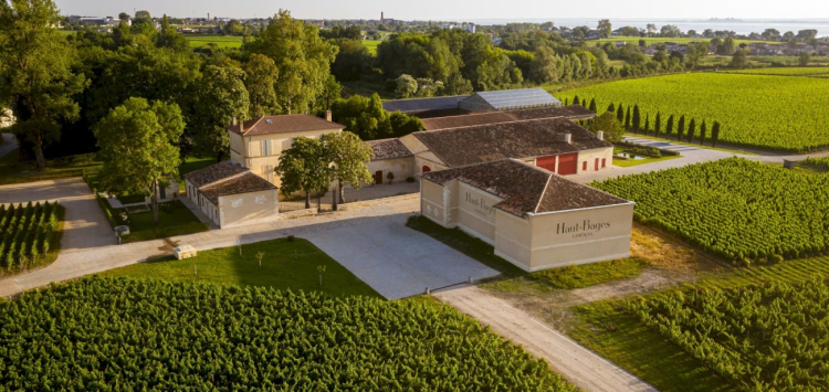 Ophorus Tours - From Le Verdon to Bordeaux City Private Shore Excursion