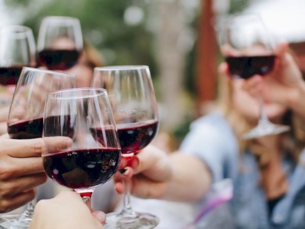 Ophorus Tours - Bordeaux Beyond the Bottle: Private Gourmet Food & Wine Tour