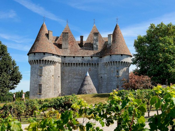 Ophorus Tours - Trémolat to Bergerac: Private Wine Tour in Dordogne