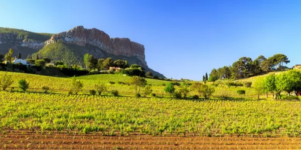 Provence Half-Day Wine Tasting Tour from Aix-en-Provence