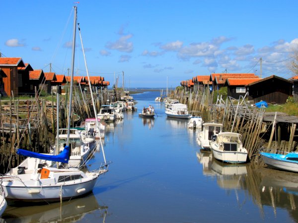 Ophorus Tours - 3-Hour Private Boat Tour: Discover Arcachon Bay's Secrets by Pinasse