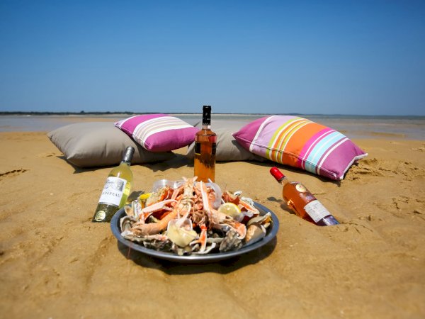 Ophorus Tours - 3-Hour Private Boat Tour: Discover Arcachon Bay's Secrets by Pinasse