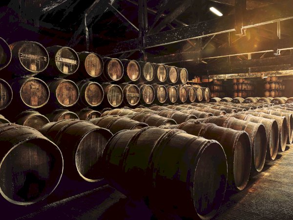 Ophorus Tours - Hennessy Paradis Tour & Tasting: Unveiling a Cognac Legend
