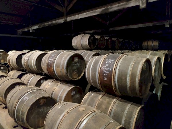 Ophorus Tours - Hennessy Paradis Tour & Tasting: Unveiling a Cognac Legend
