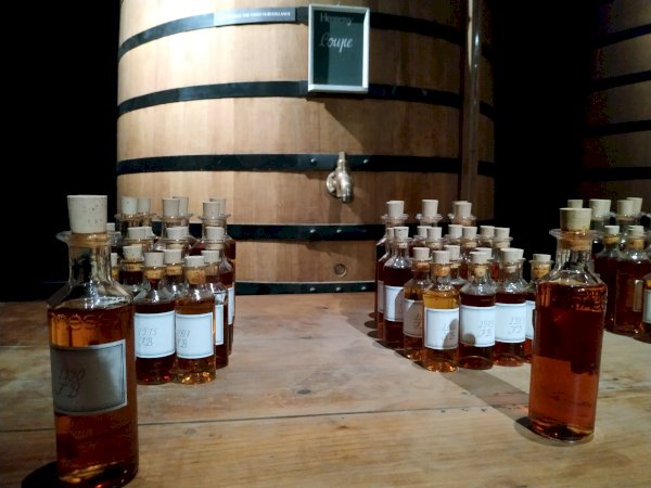 Ophorus Tours - Hennessy Paradis Tour & Tasting: Unveiling a Cognac Legend