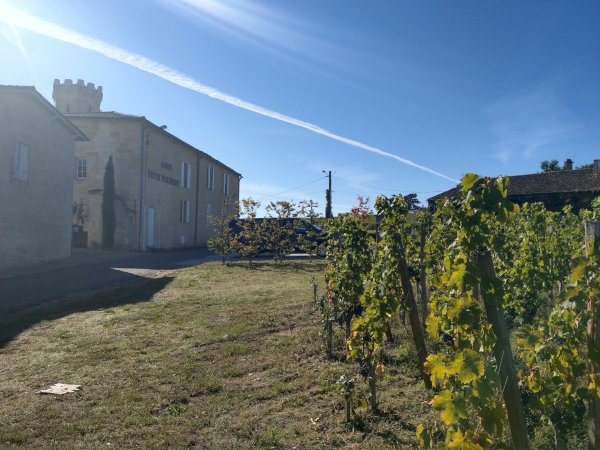 Ophorus Tours - Private Cooking Class & Lunch in a Bordeaux Château