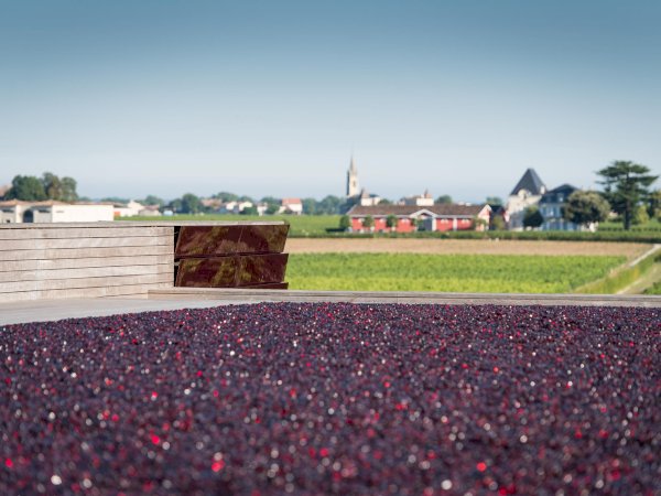 Ophorus Tours - Private Saint-Emilion Tour: Wine Blending, Gourmet Lunch & Blind Tasting