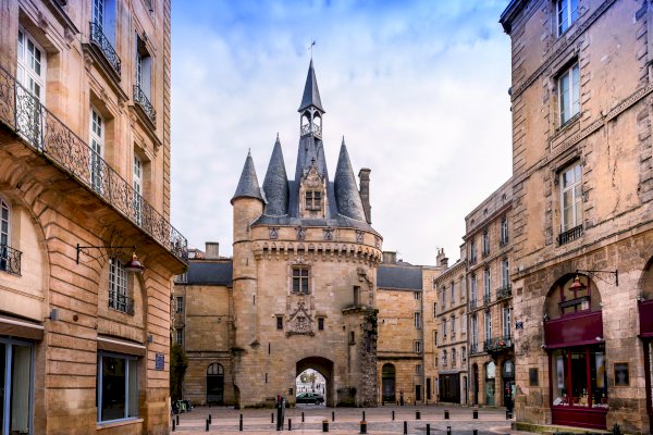 Ophorus Tours - A Bordeaux Day to Remember: Private Walking Tour & St Emilion Wine Tour 