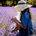 Stop around Valensole