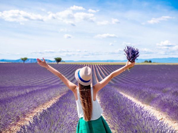 Ophorus Tours - Valensole's Lavender Fields Tour : A Visual Journey in Provence