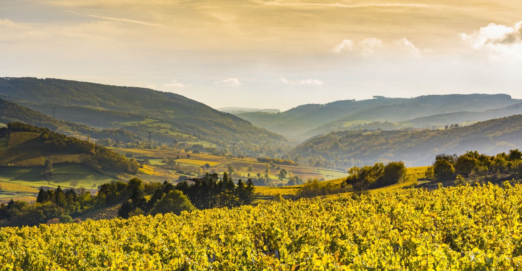 Ophorus Tours - 4-Day Private Burgundy Wine Tours Package - Beaune - 3* Hotel