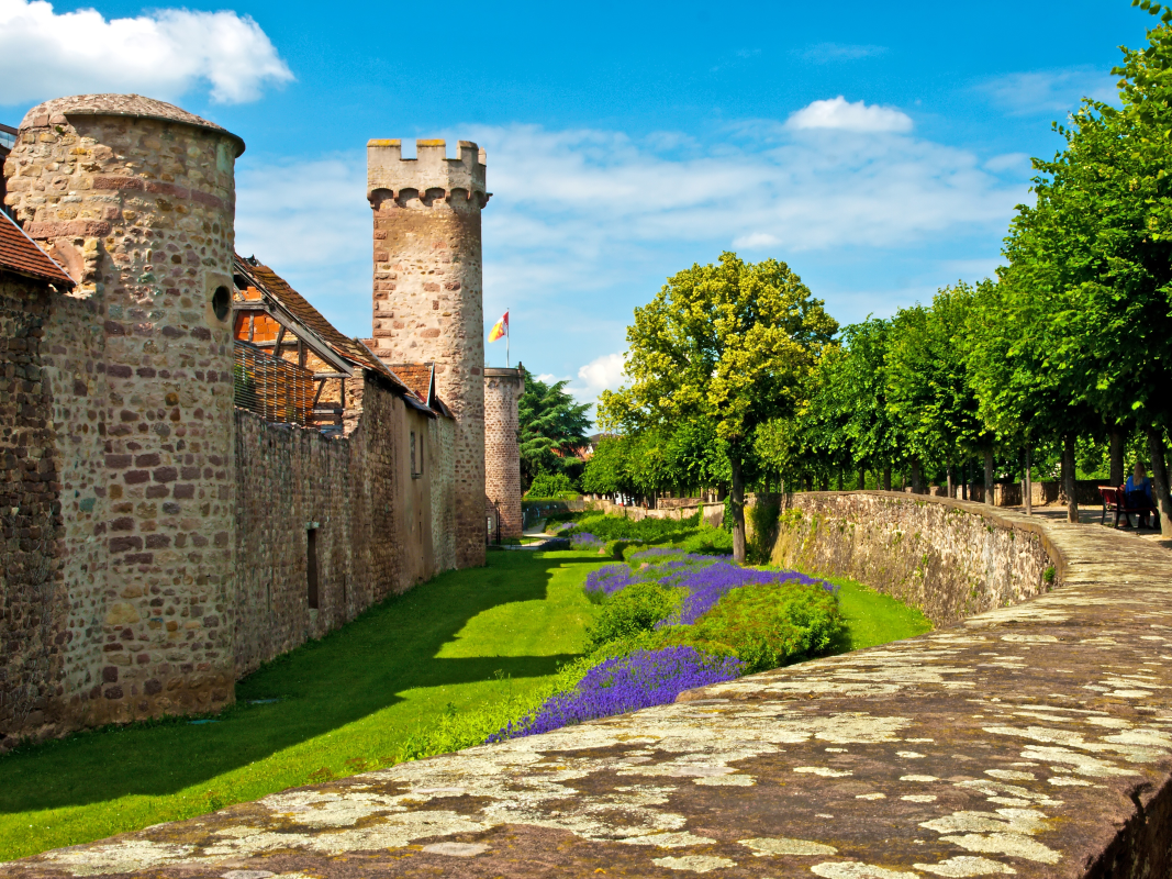 Ophorus Tours - Medieval Charm & Mountain Views: Private Tour to Obernai & Mont Saint Odile