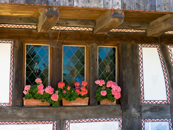 Ophorus Tours - Medieval Charm & Mountain Views: Private Tour to Obernai & Mont Saint Odile