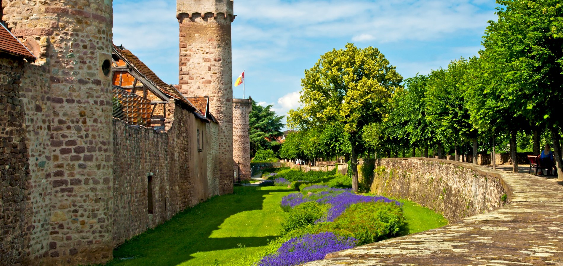 Ophorus Tours - Medieval Charm & Mountain Views: Private Tour to Obernai & Mont Saint Odile