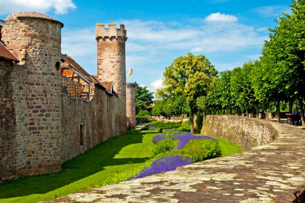 Ophorus Tours - Medieval Charm & Mountain Views: Private Tour to Obernai & Mont Saint Odile