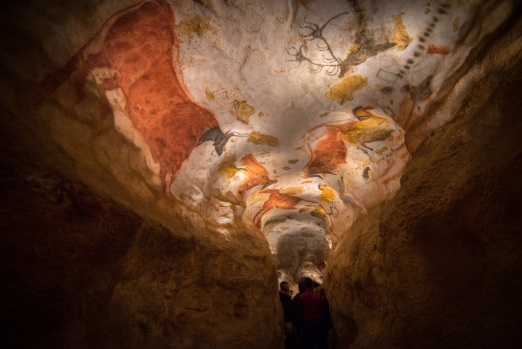 Ophorus Tours - Dordogne & Sarlat Exploration: Exclusive Private Tour from Bordeaux