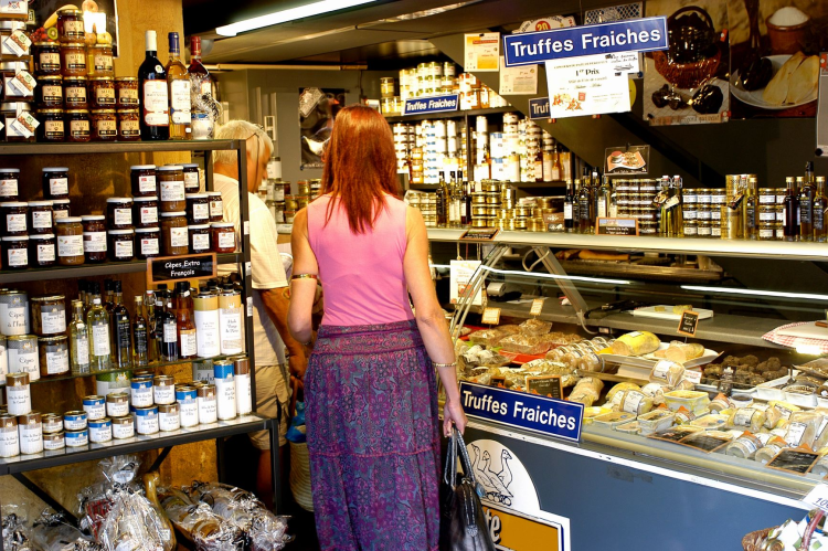 Ophorus Tours - Dordogne & Sarlat Exploration: Exclusive Private Tour from Bordeaux