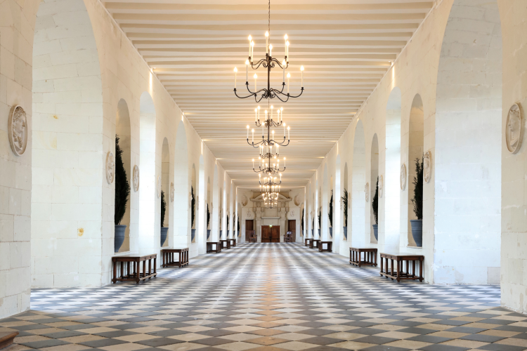 Ophorus Tours - Chenonceau & Chambord Castles Private Day Tour from Tours