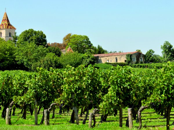 Ophorus Tours - Indulge in Burgundy's Grand Crus: Private Wine Tour from Beaune