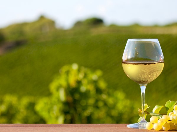 Ophorus Tours - Indulge in Burgundy's Grand Crus: Private Wine Tour from Beaune