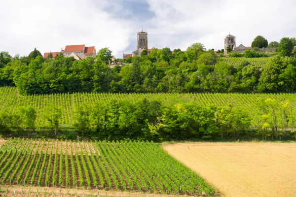 Ophorus Tours - Indulge in Burgundy's Grand Crus: Private Wine Tour from Beaune