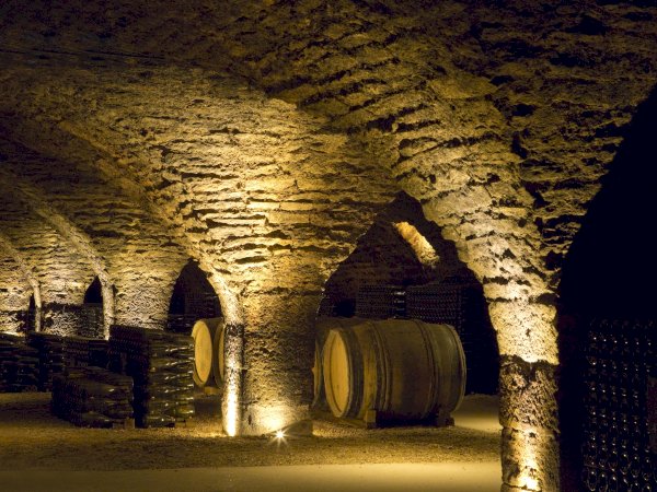 Ophorus Tours - Luxury Burgundy Escape: Private Food & Wine Tour from Beaune
