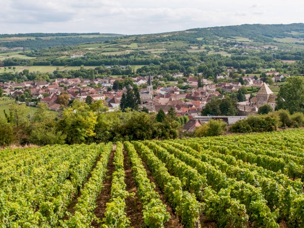 Ophorus Tours - Luxury Burgundy Escape: Private Food & Wine Tour from Beaune
