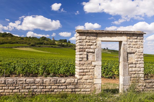 Ophorus Tours - Explore Burgundy: Wine Tour & Clos de Vougeot Visit from Dijon