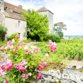 Scenic Drive Along the Route des Grands Crus